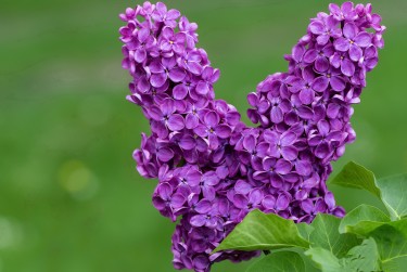 宁波奉化区1空放私借|企业资金短拆|宁波奉化区1私人放款快速借钱