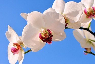 宁波奉化区1空放急用钱贷款|生意借钱周转|宁波奉化区1急用钱个人贷款