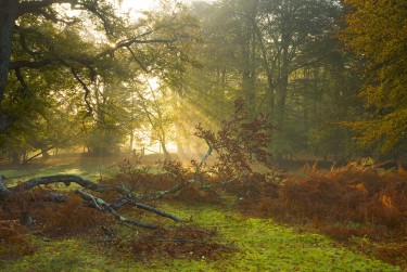 宁波奉化区1空放零用贷|个人信用借款|宁波奉化区1私人24小时借钱